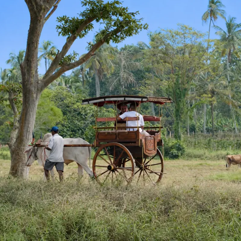 Welpalla Herbal Garden